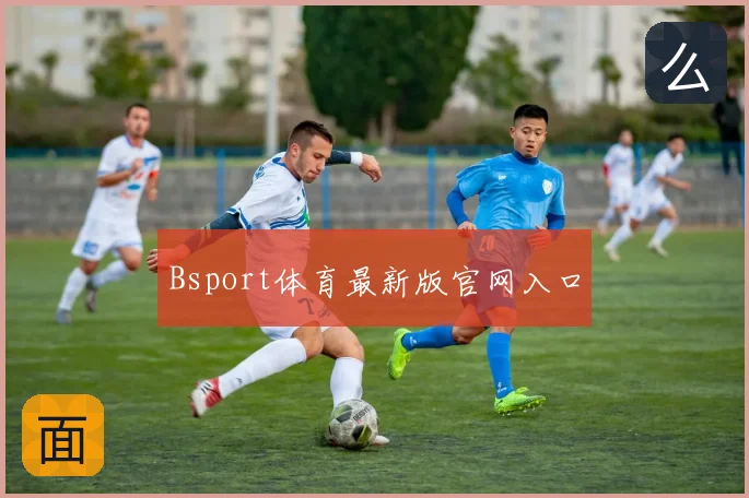 Bsport体育最新版官网入口