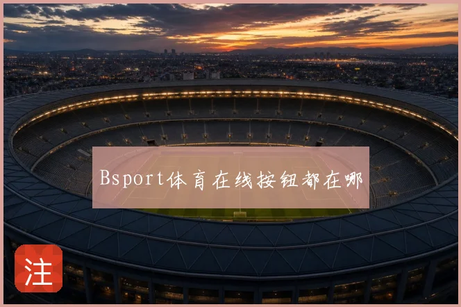 Bsport体育在线按钮都在哪